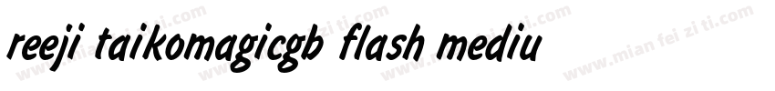 reeji taikomagicgb flash medium字体转换